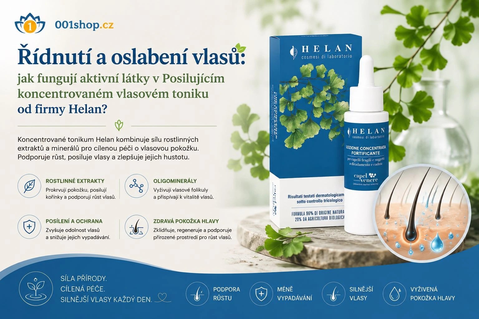 Řídnutí a oslabení vlasů: jak fungují aktivní látky v Posilujícím  koncentrovaném vlasovém toniku od firmy Helan?